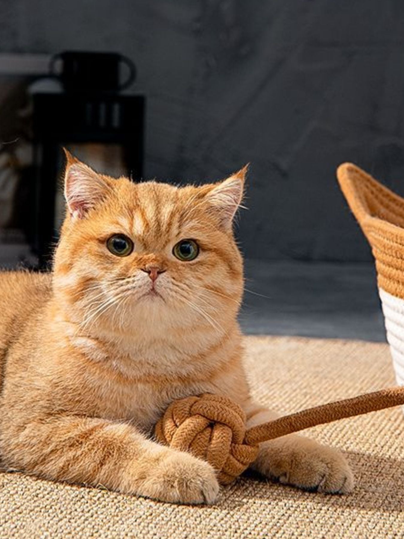 Cat Ear Woven Pet Nest
