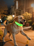 LED Glowing Pet Collar for Night Safety