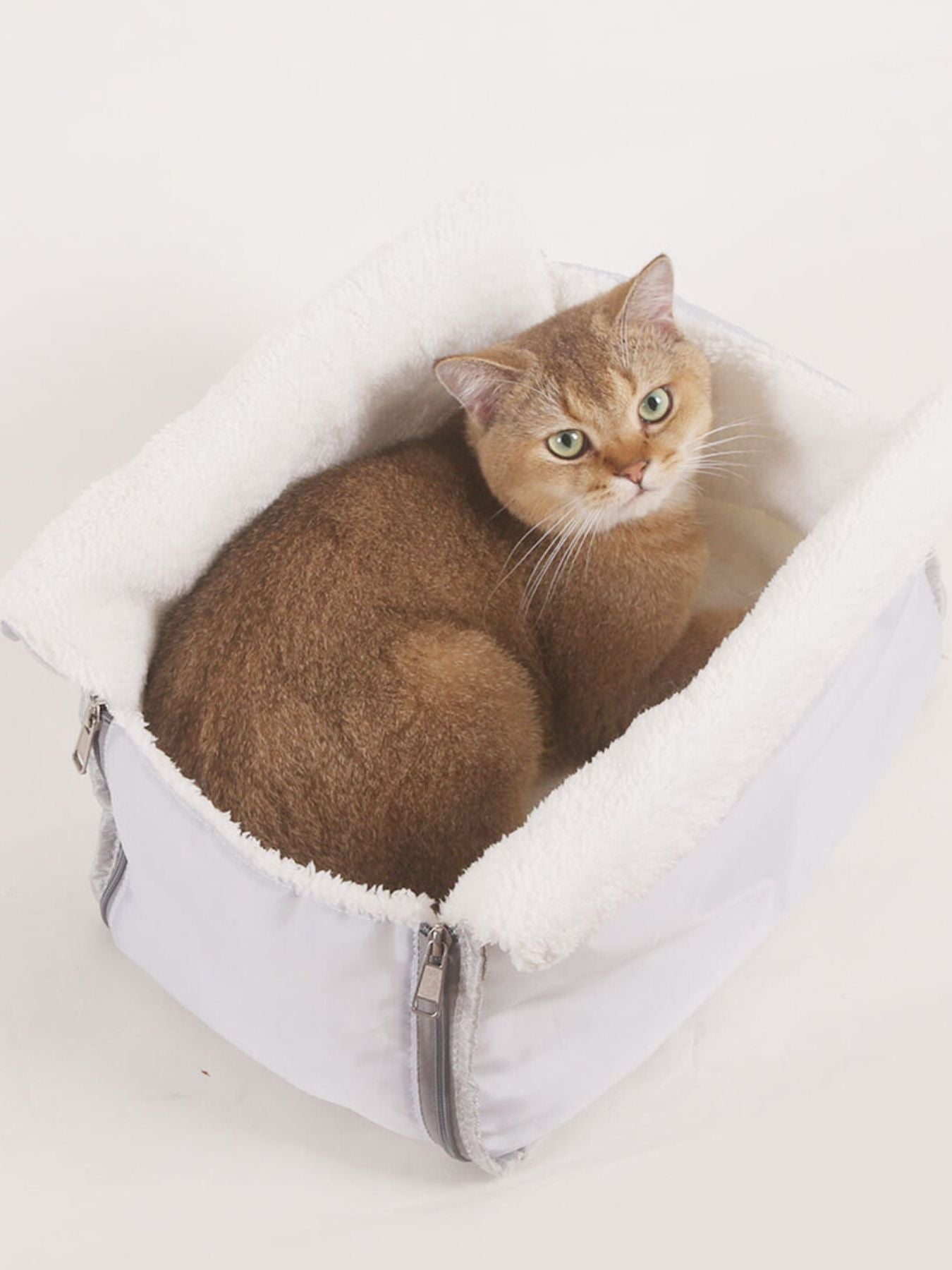 Comfortable & Breathable Pet Carrier Bag