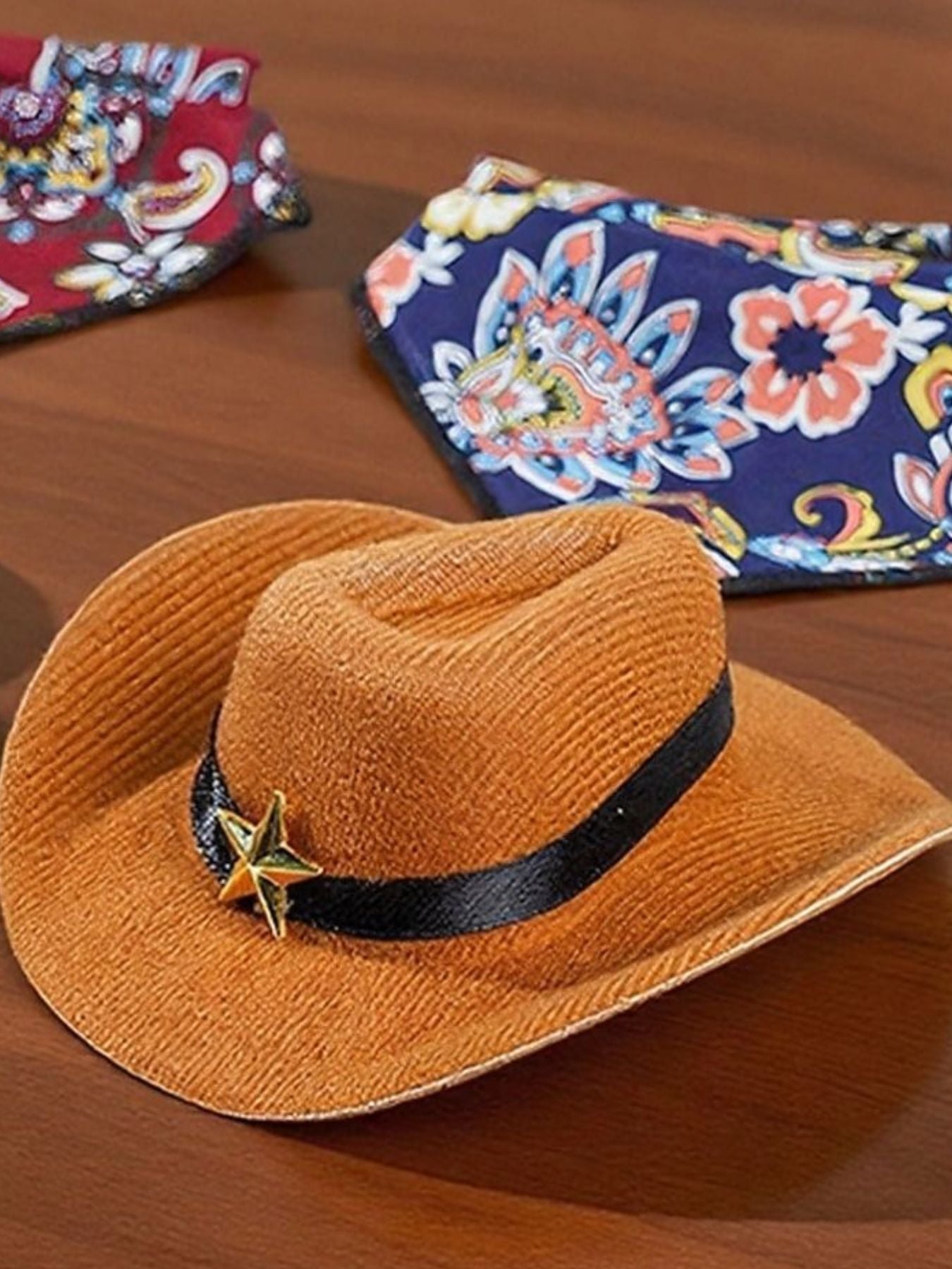 Paisley Print Pet Scarf & Hat