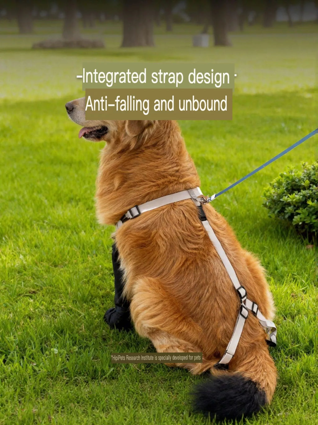 Protective Legging Pet Shoes