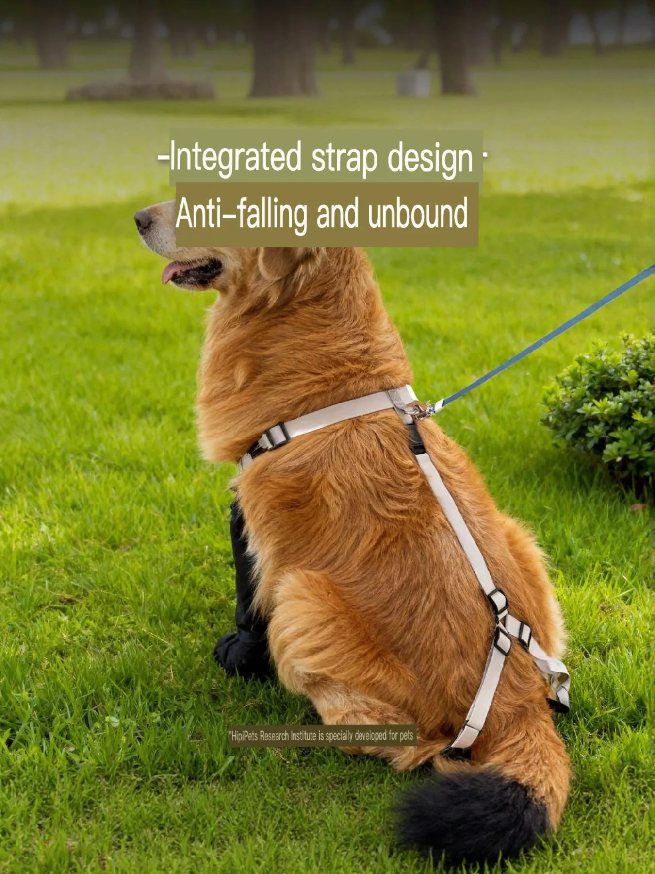 Protective Legging Pet Shoes