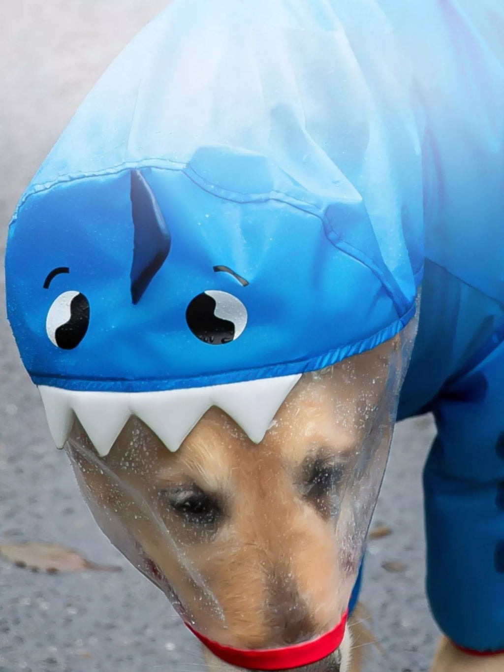 Dinosaur Style Waterproof Dog Raincoat with Hood