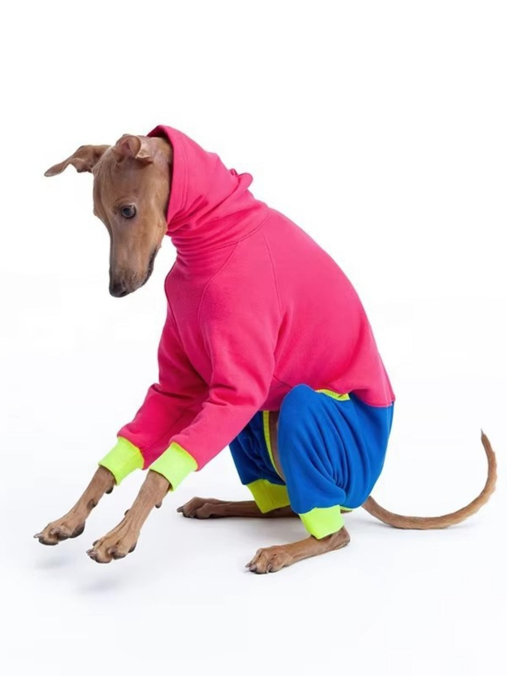 Full Size Color Block Turtleneck Pet Jumpsuits Plus Size