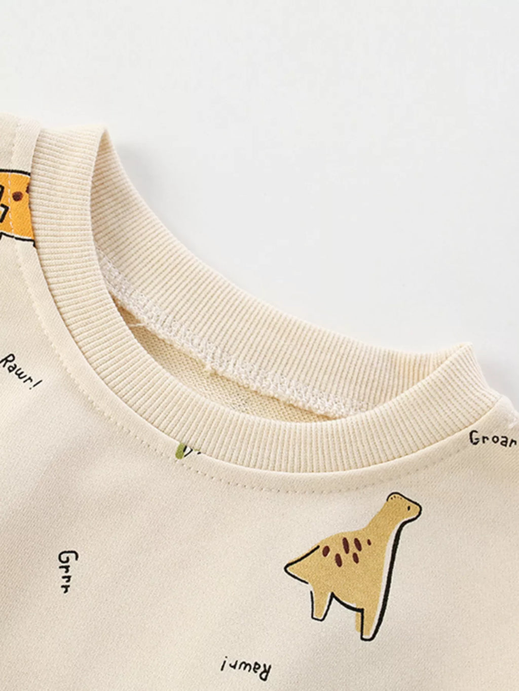 Children's Dinosaur Print Crew Neck Sweatshirt