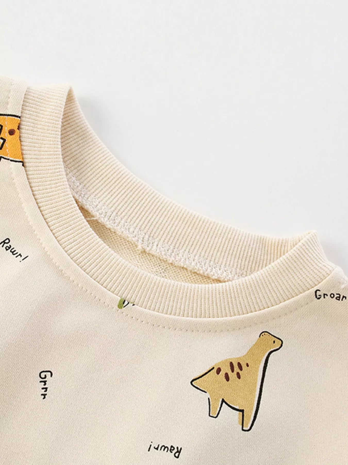 Children's Dinosaur Print Crew Neck Sweatshirt