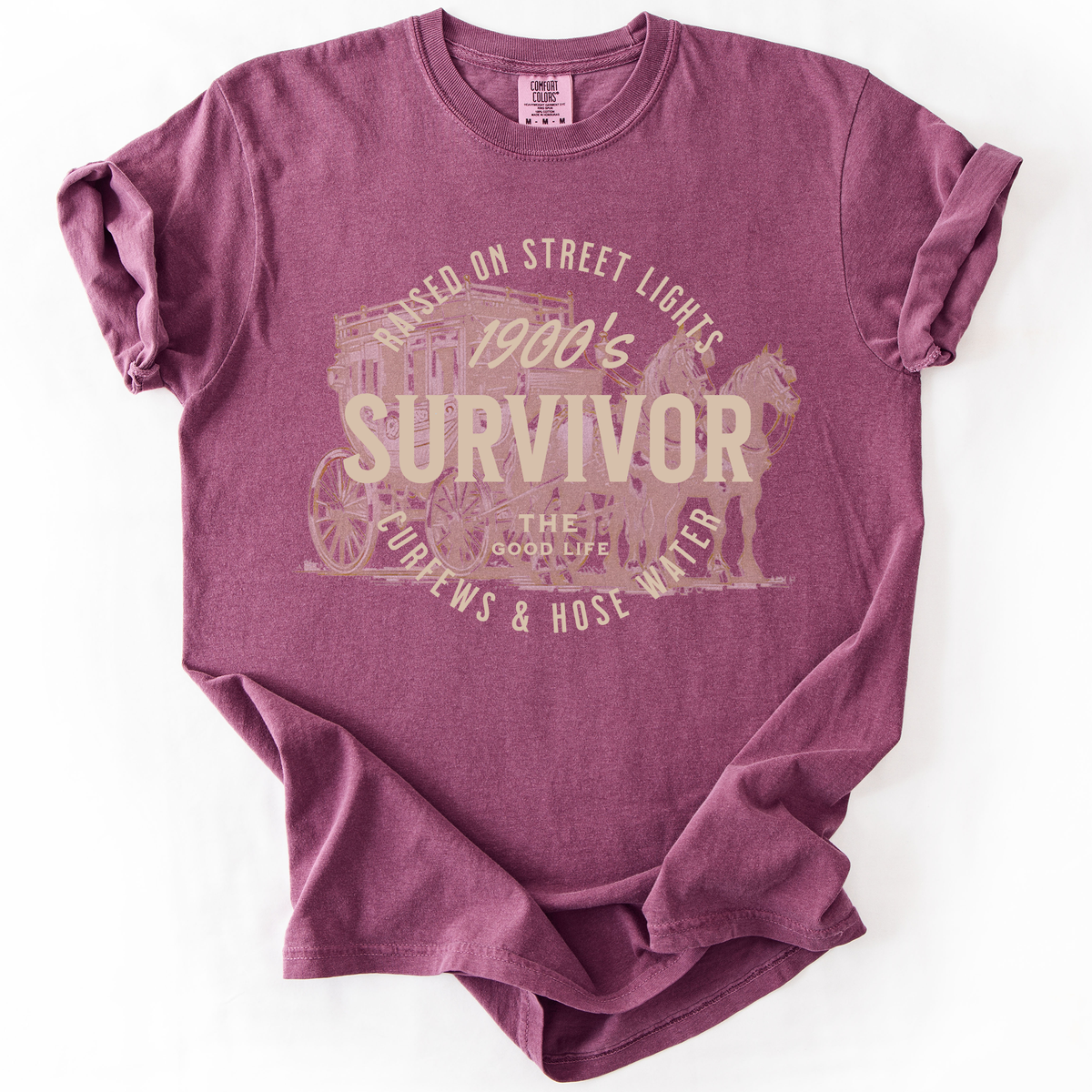 1900s Survivor, Funny Gen X Nostalgia Attitude, Sarcastic Retro Humor For Bold Collectors Comfort Colors Tee