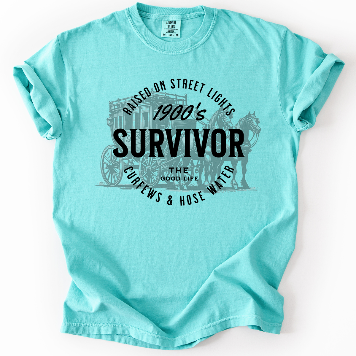 1900s Survivor, Funny Gen X Nostalgia Attitude, Sarcastic Retro Humor For Bold Collectors Comfort Colors Tee