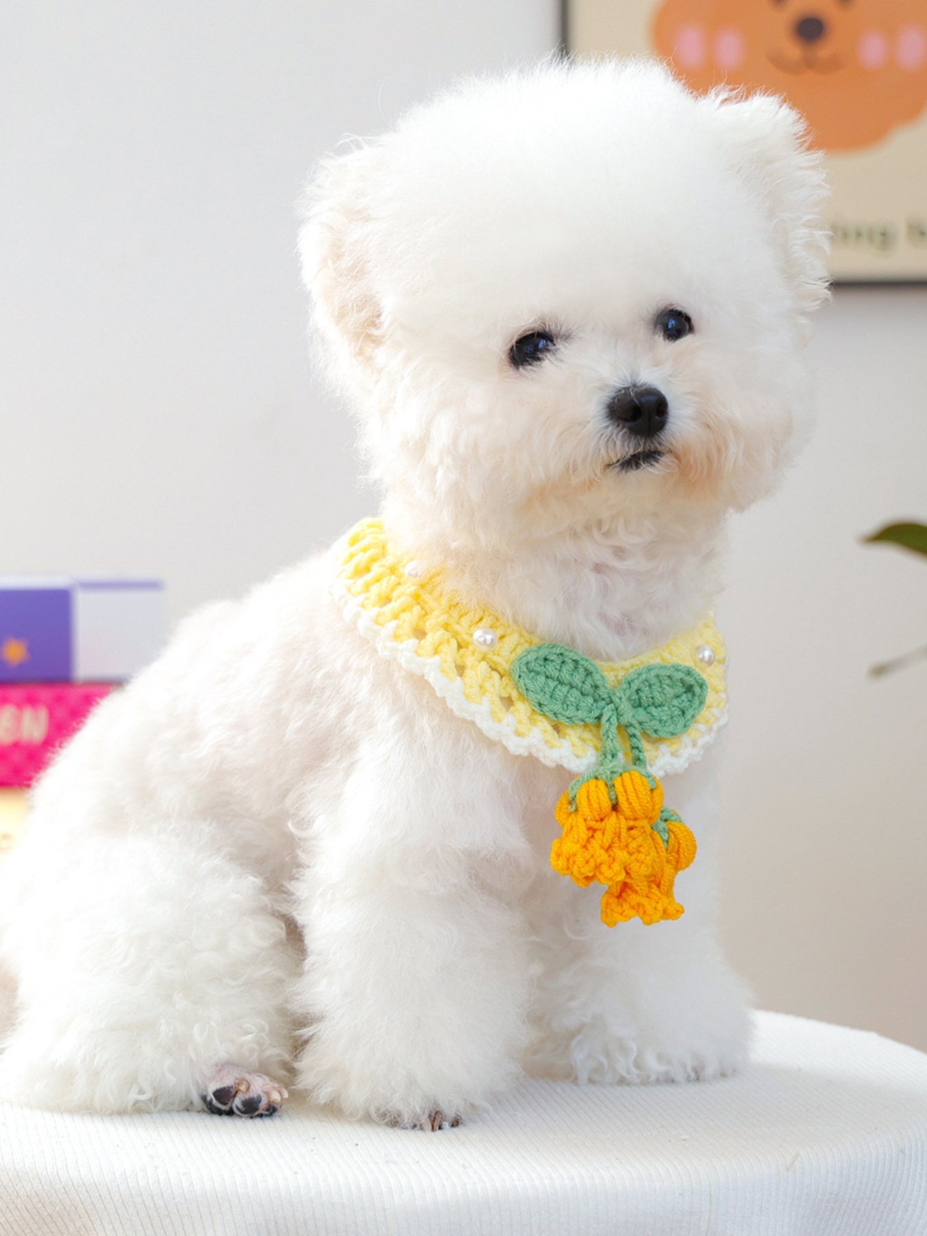 Contrast Pet Scarf