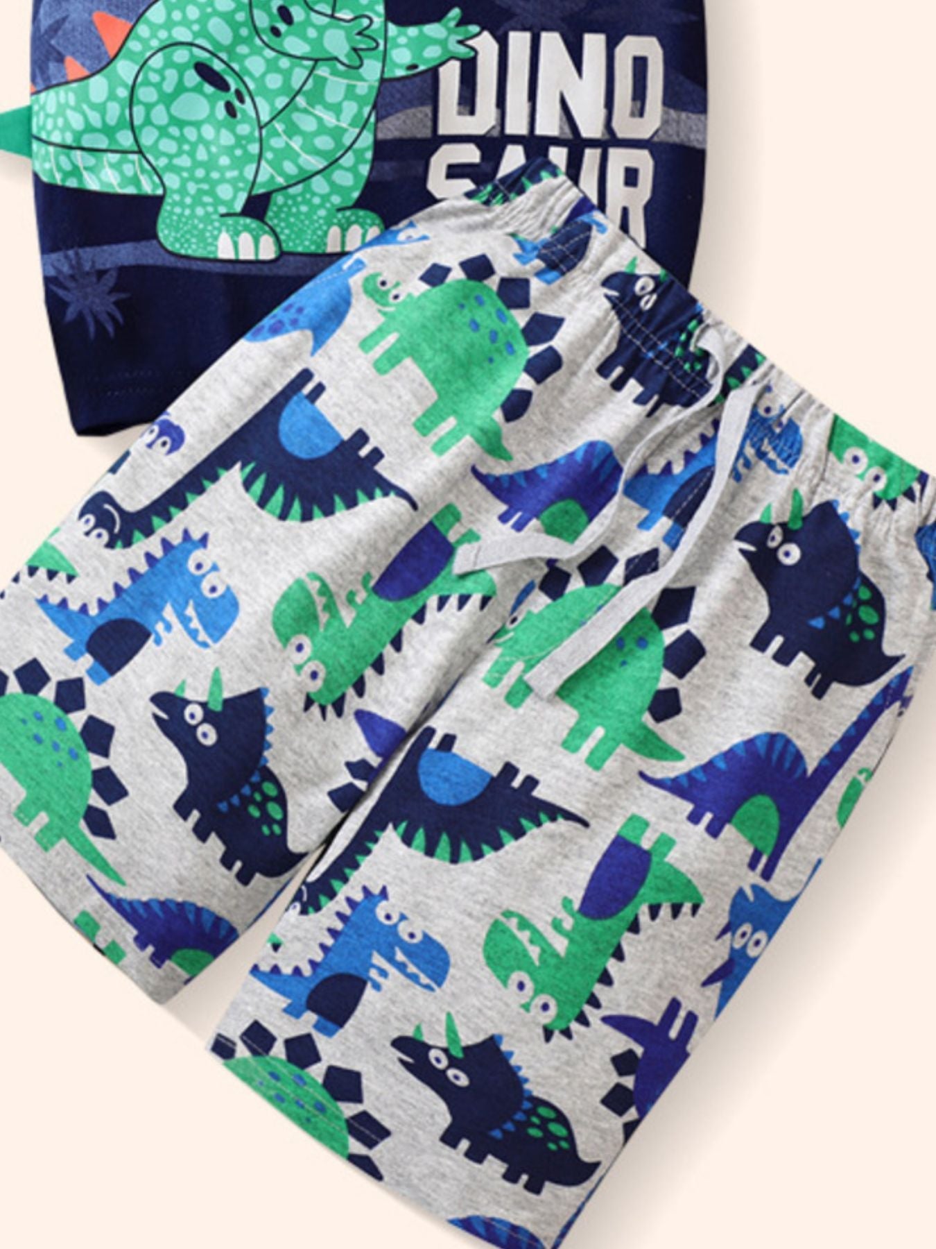 Children's Dinosaur Short Sleeve Tee and Shorts Set