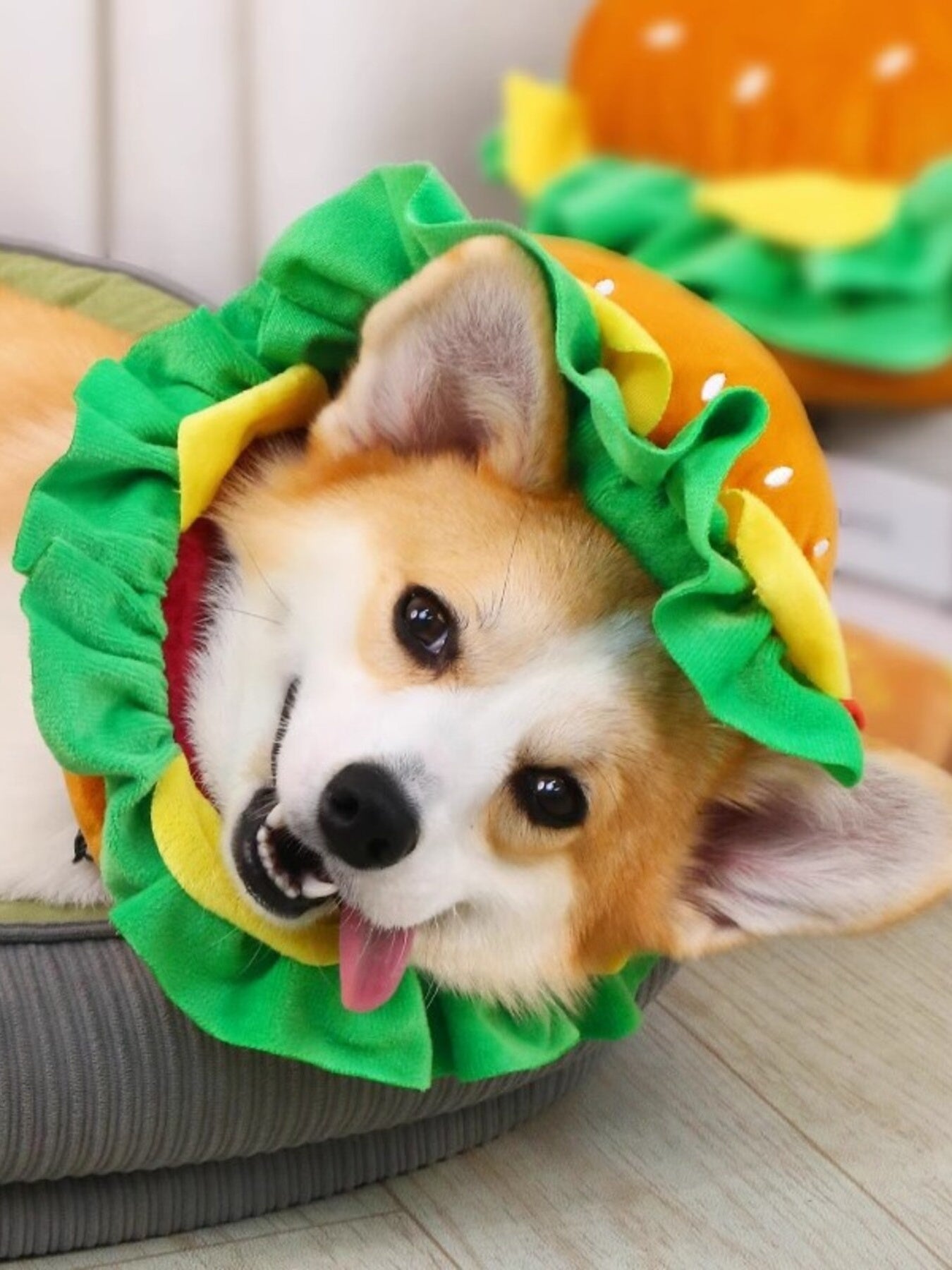 Hamburger Style Pet Headwear