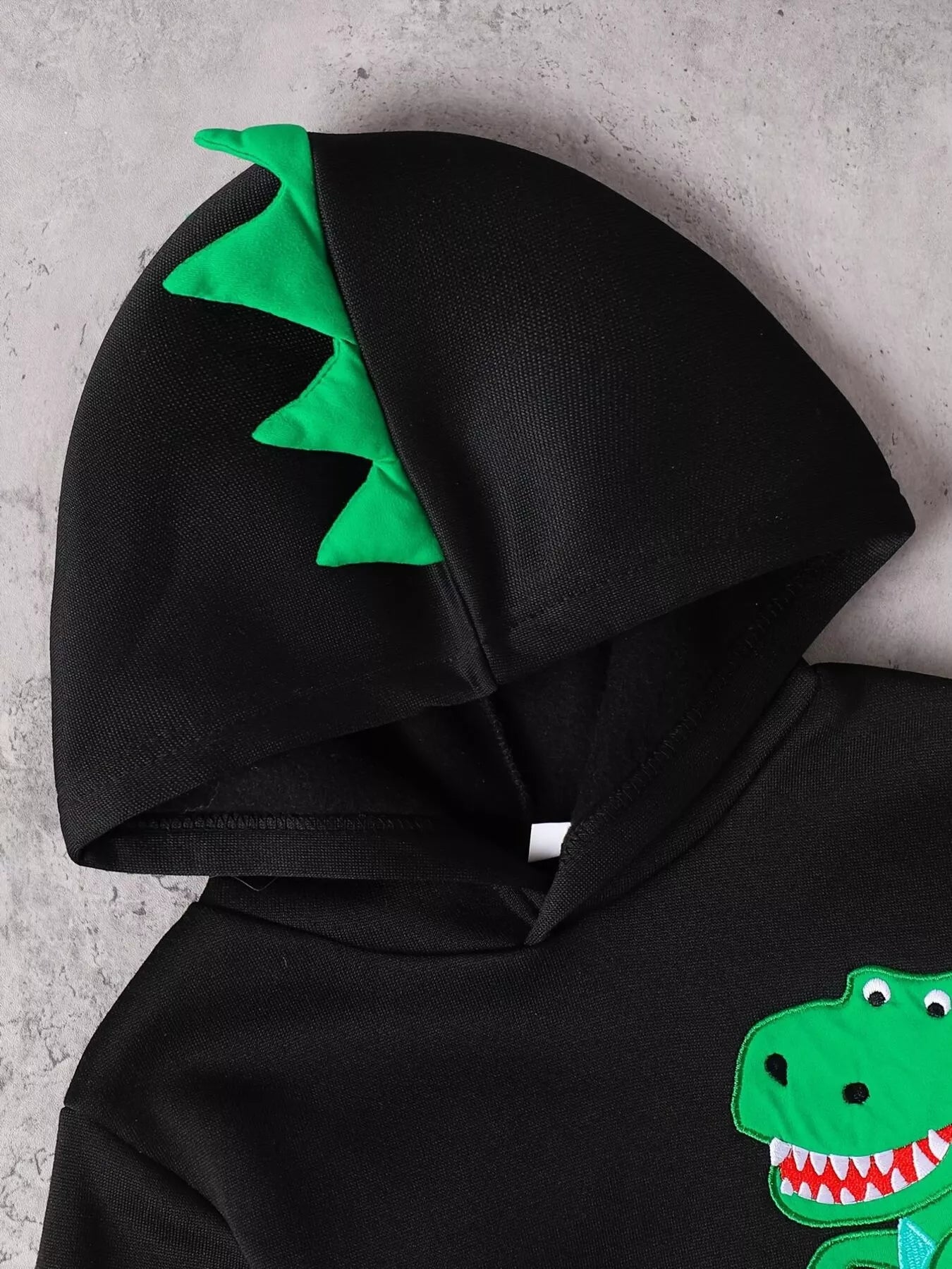 Children's Dinosaur Graphic Hoodie & Pants Set