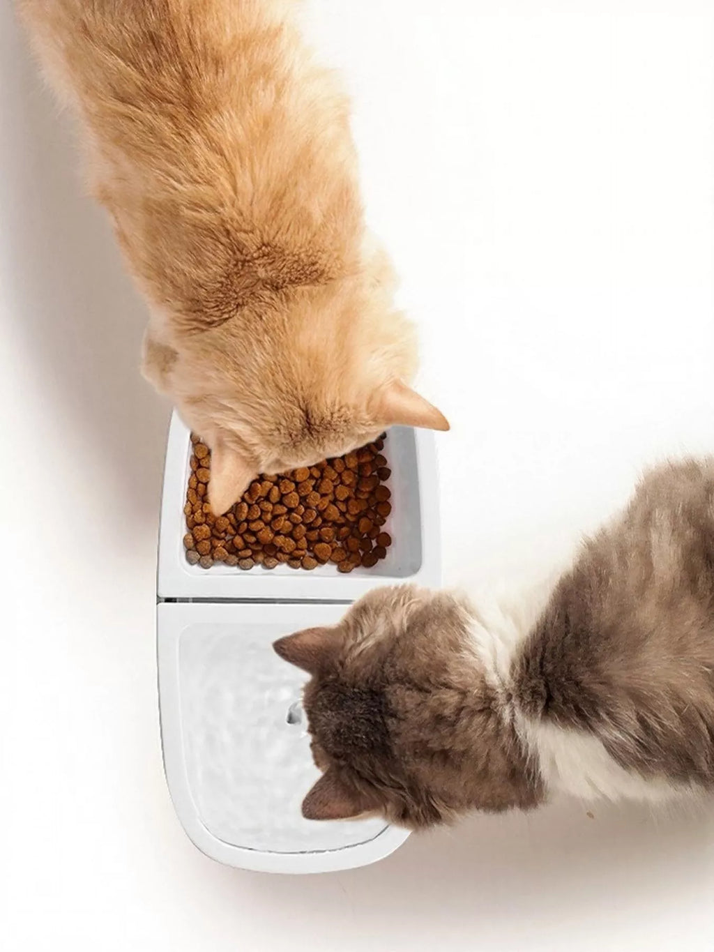 2-in-1 Automatic Water Dispenser & Food Bowl Pet Bowl