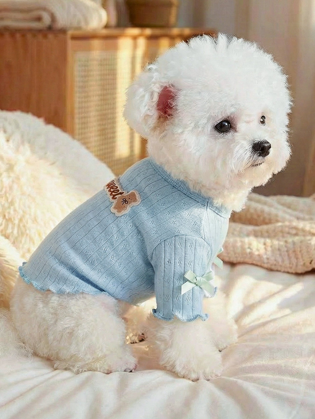 Sweet Bear Patch Ribbed Pet Top