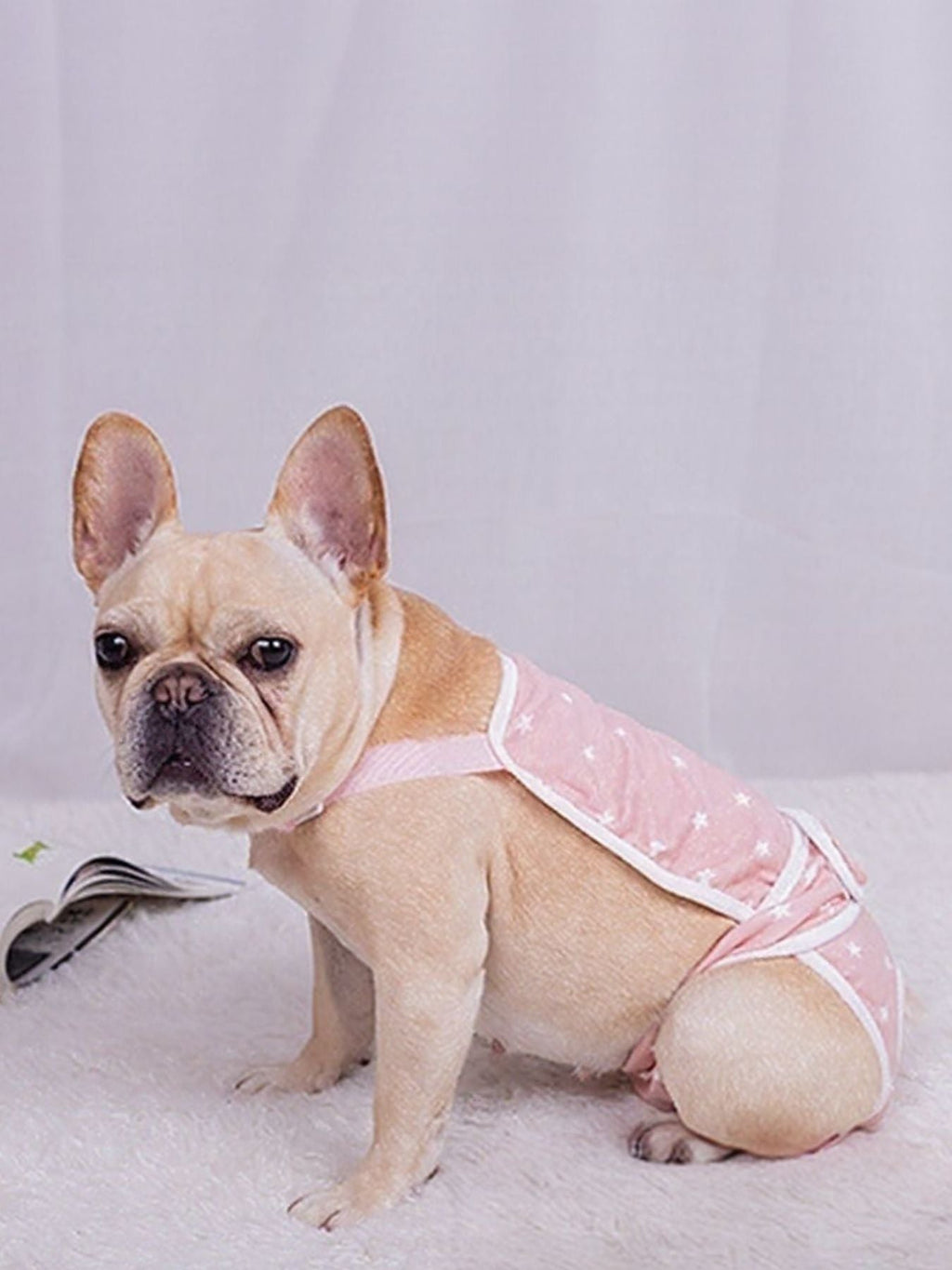 Anti-Harassment Pet Functional Clothing