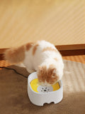 Automatic Circulating Filtered Pet Water Fountain Bowl