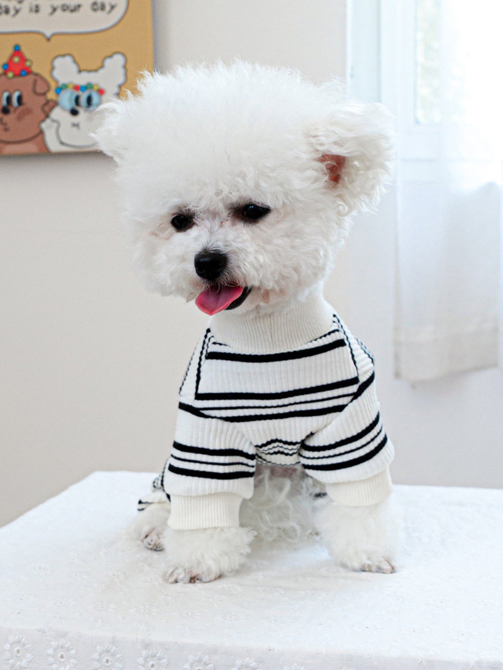 Breathable Knitted Pet Jumpsuits