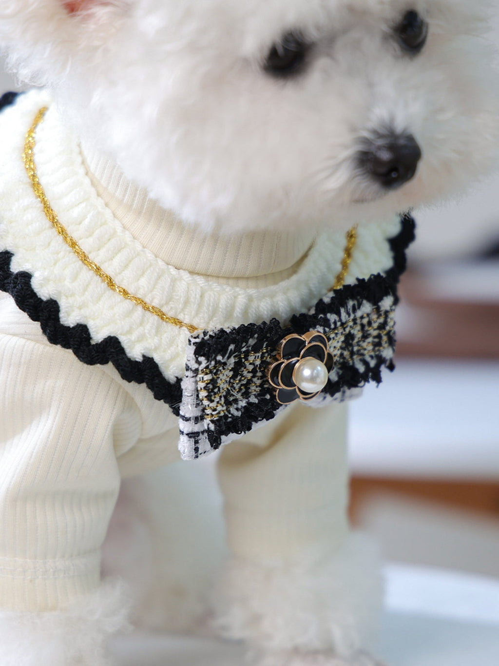 Contrast Pet Scarf