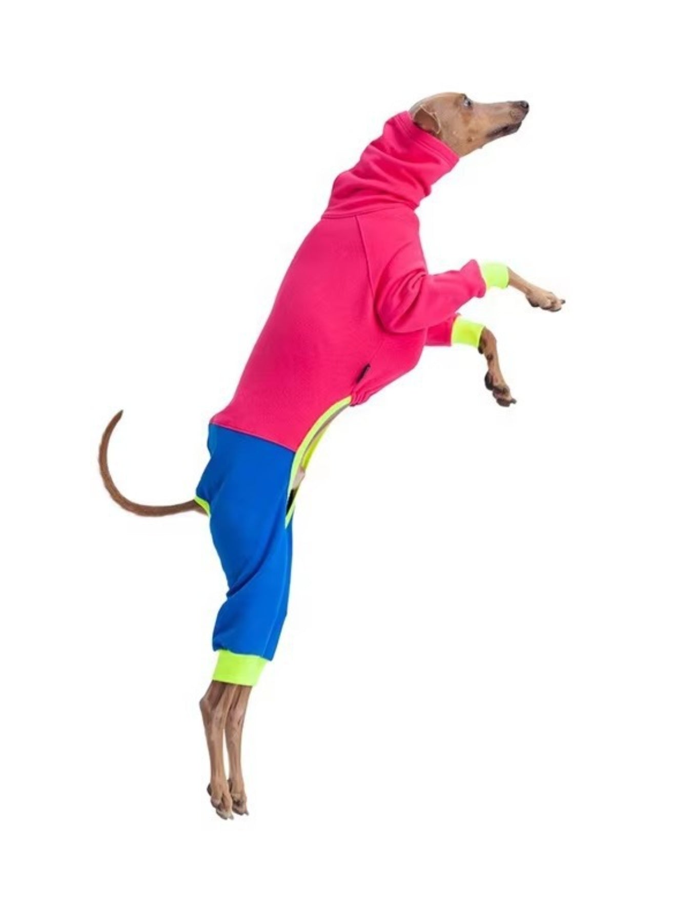 Full Size Color Block Turtleneck Pet Jumpsuits Plus Size