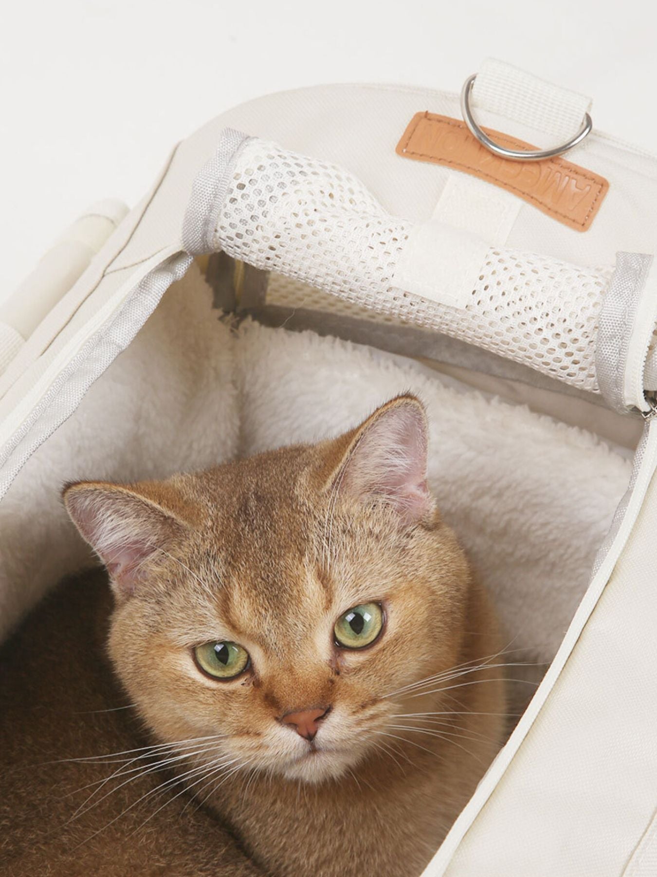 Comfortable & Breathable Pet Carrier Bag