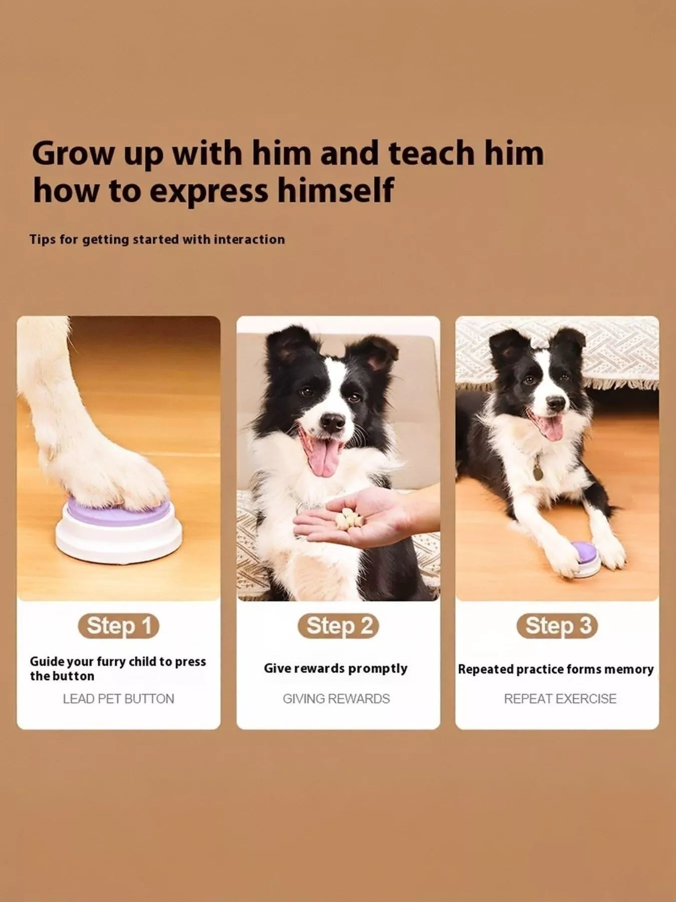 Recordable Talking Pet Sound Buttons