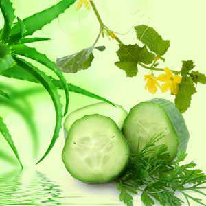 Aloe Vera & Cucumber Fragrance Oil