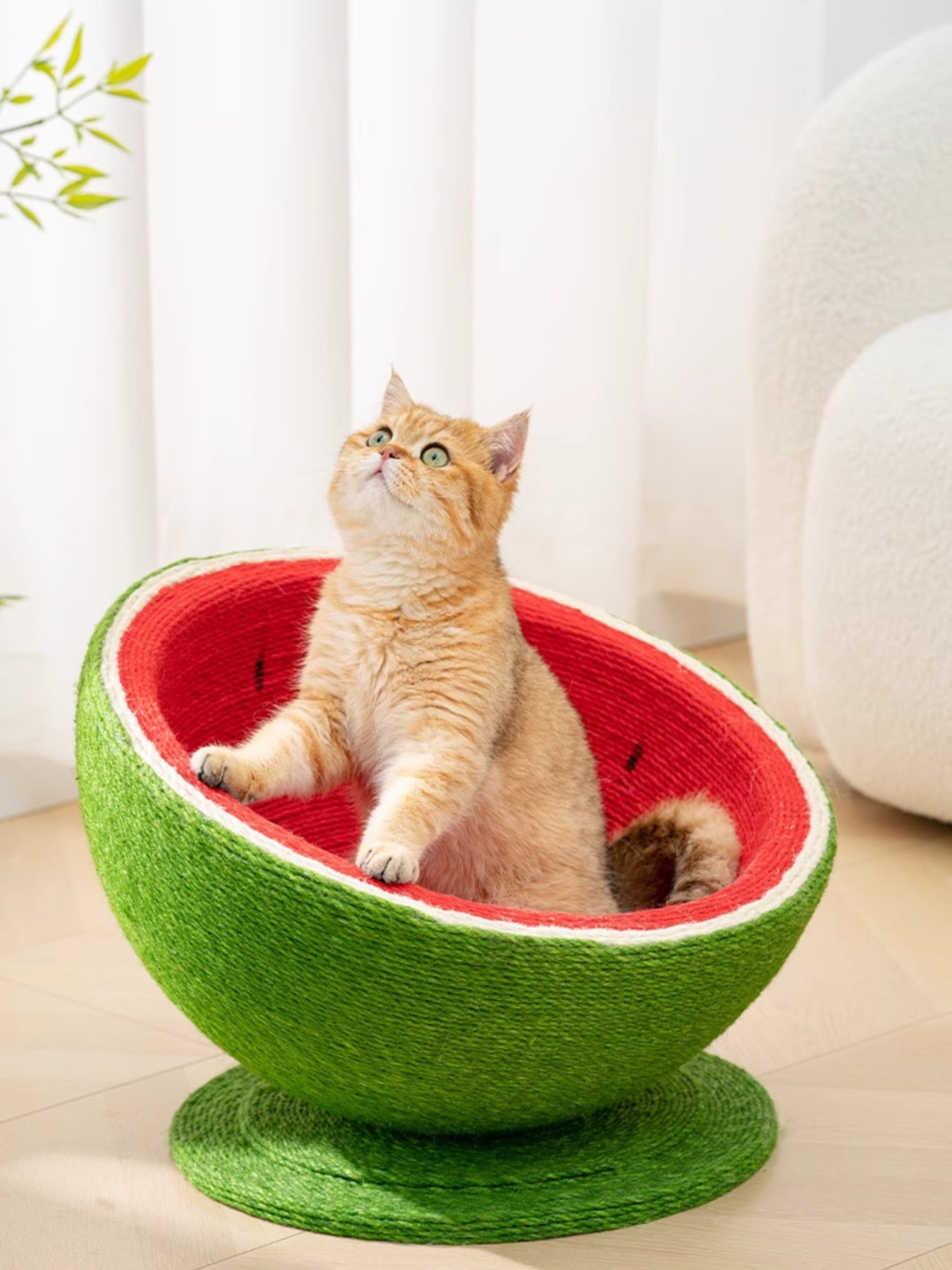 Watermelon Shaped Cat Scratching Post Nest