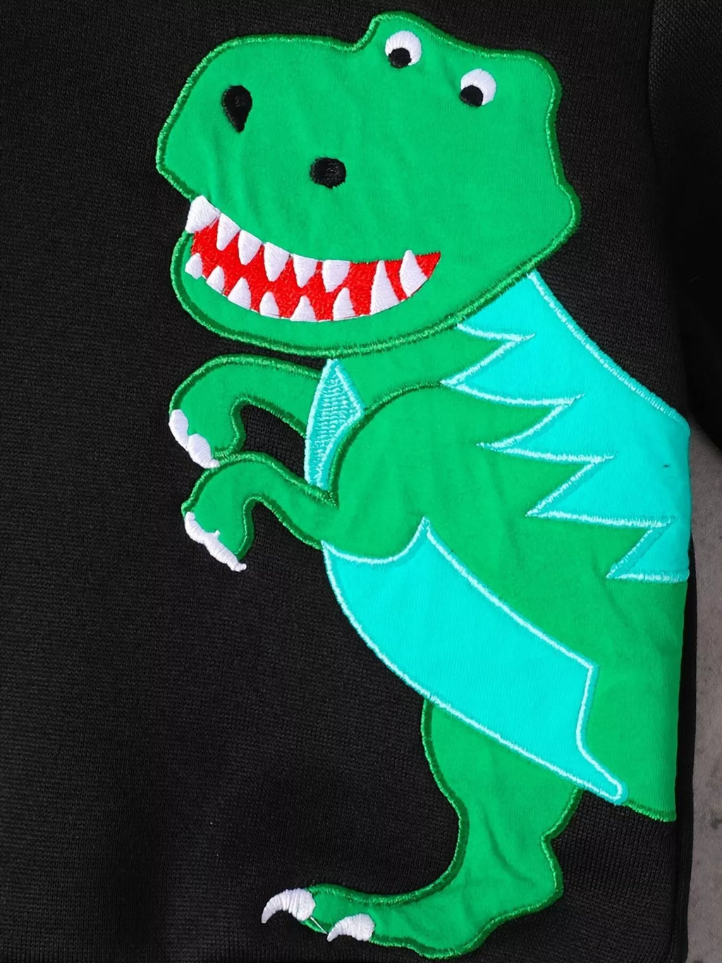 Children's Dinosaur Graphic Hoodie & Pants Set