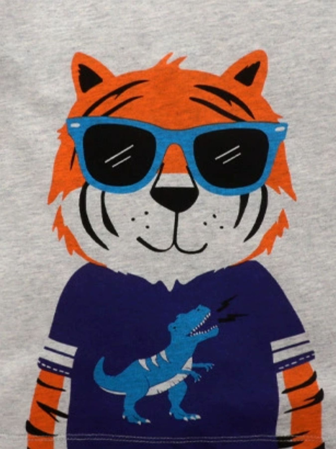 Children's Tiger Graphic Round Neck T-Shirt