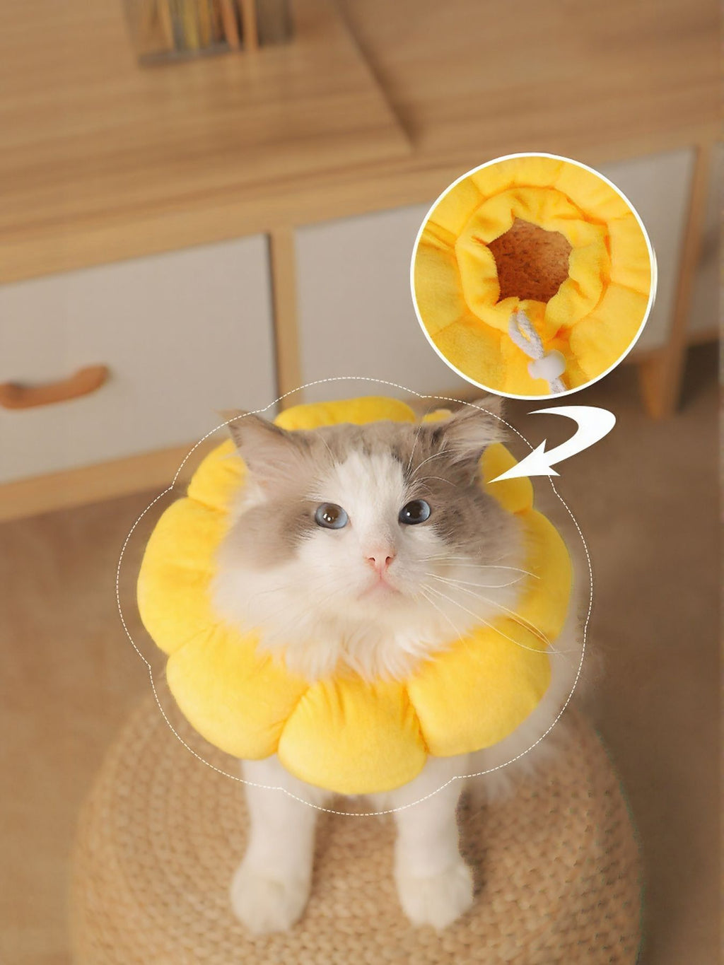 Sunflower Protective Pet Collar