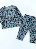 Children's Leopard Print Long Sleeve Top and Pants Set