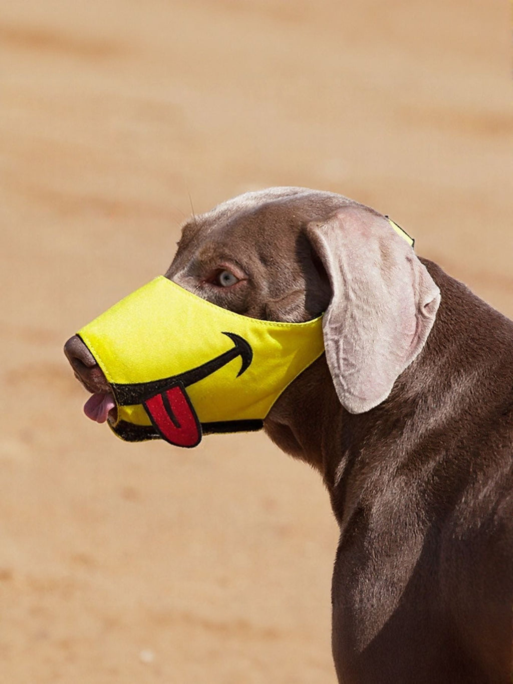 Funny Face Anti-Bite Pet Muzzle