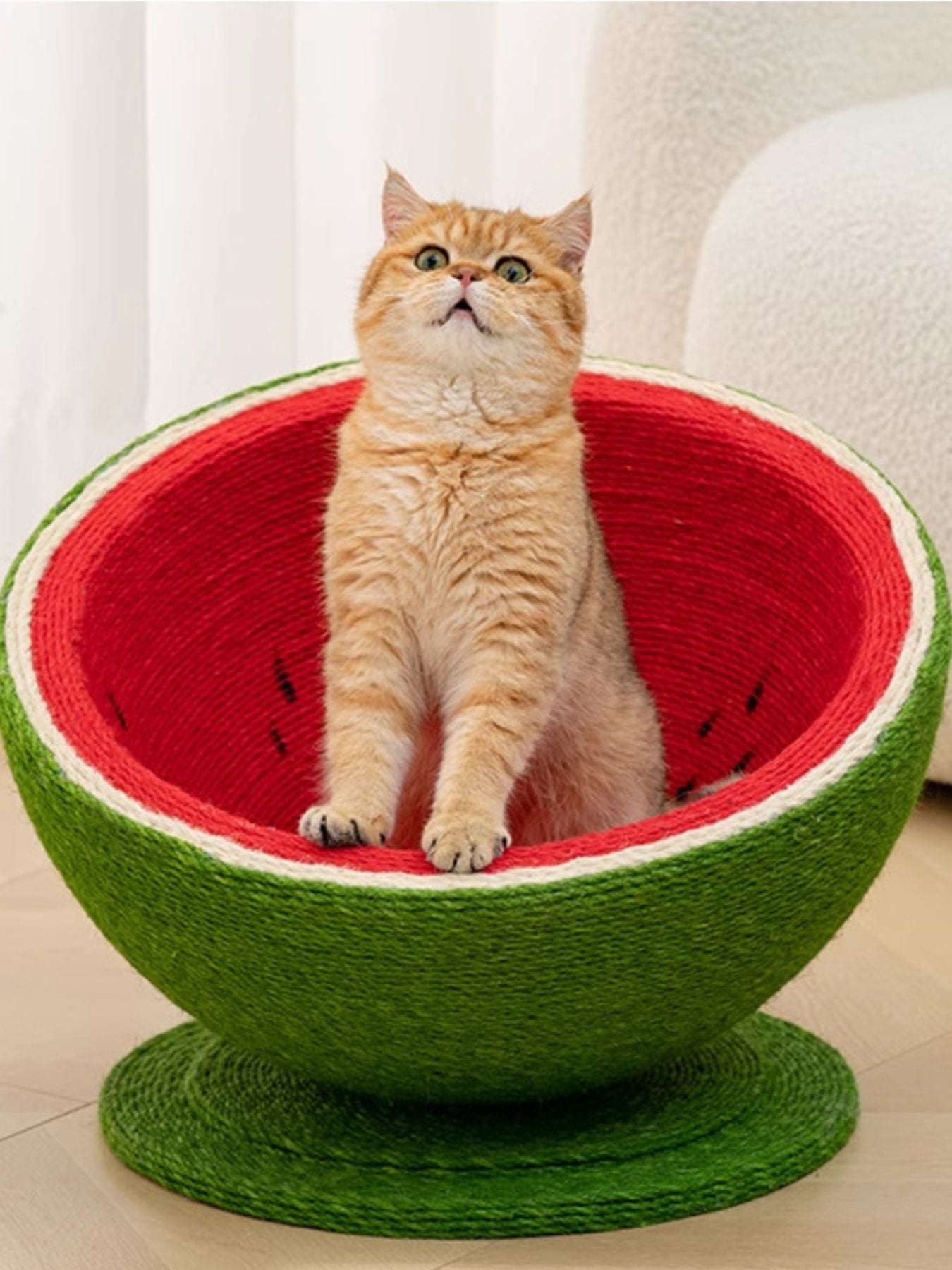Watermelon Shaped Cat Scratching Post Nest
