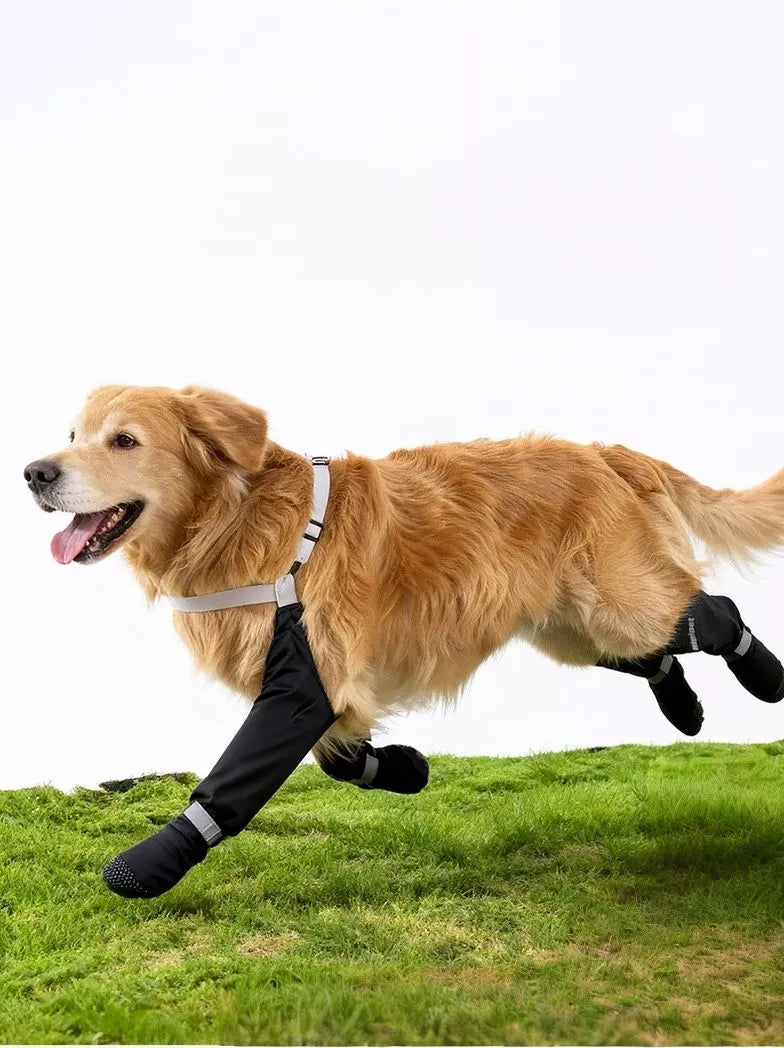 Protective Legging Pet Shoes