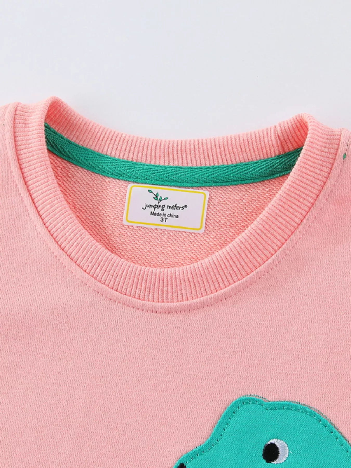 Children's Dinosaur Crew Neck Long Sleeve T-Shirt