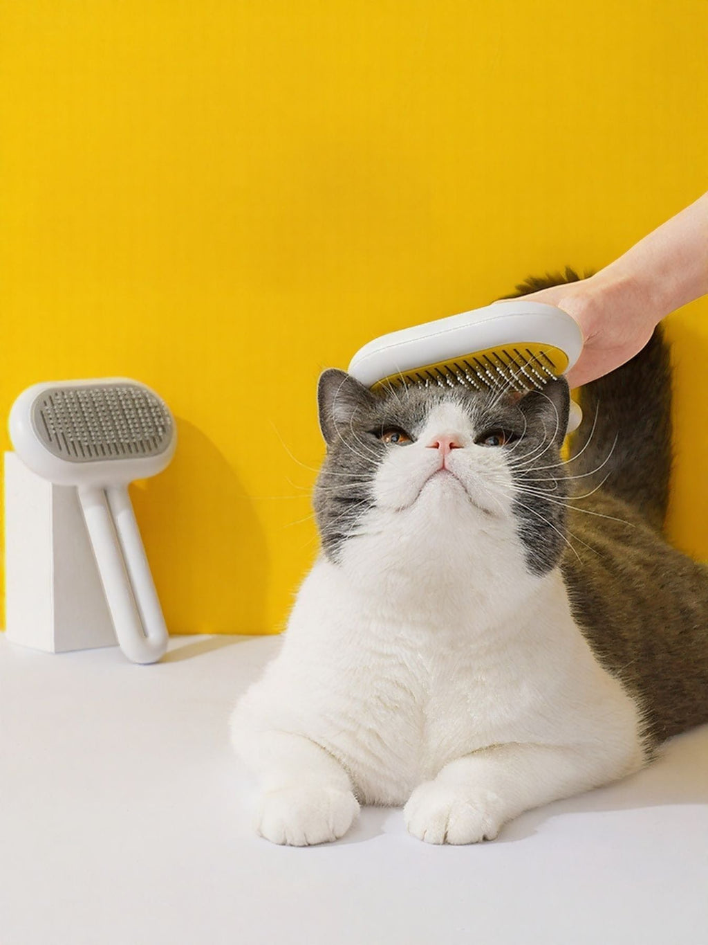Portable Pet Hair Remover Brush