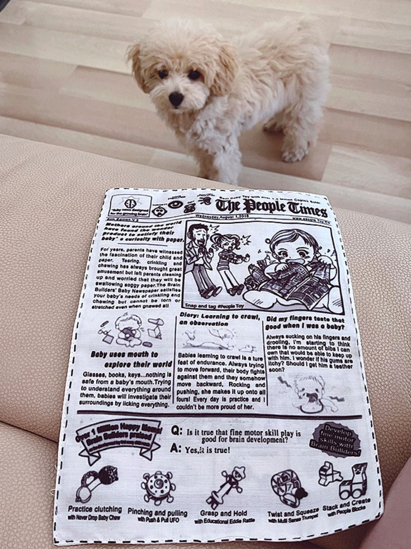 Newspaper Style Pet Sound Toy