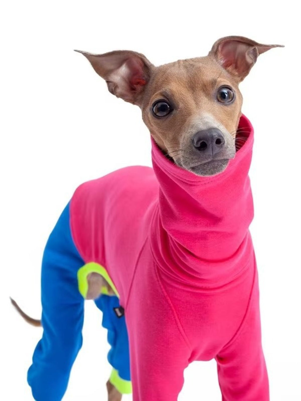 Full Size Color Block Turtleneck Pet Jumpsuits Plus Size