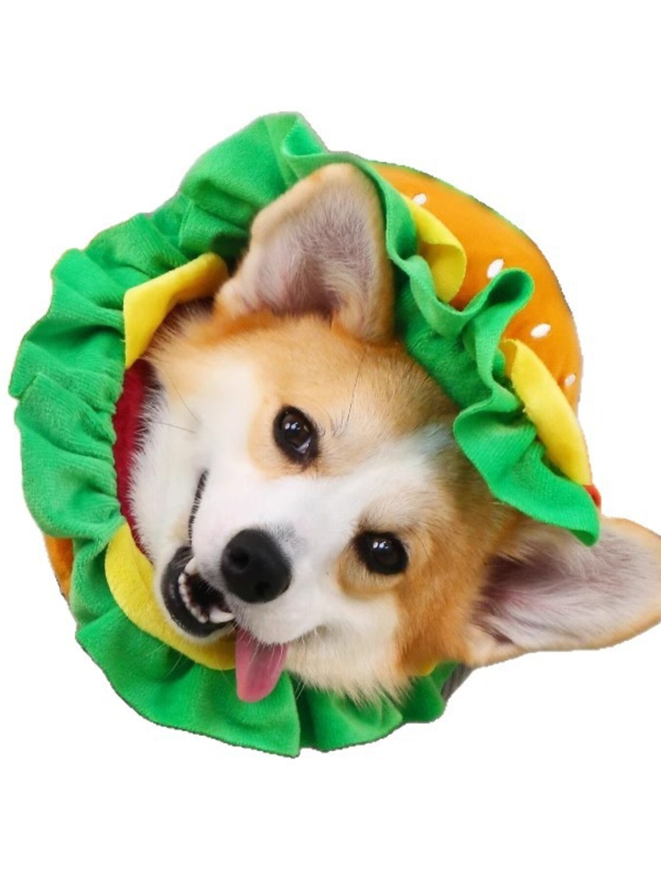 Hamburger Style Pet Headwear