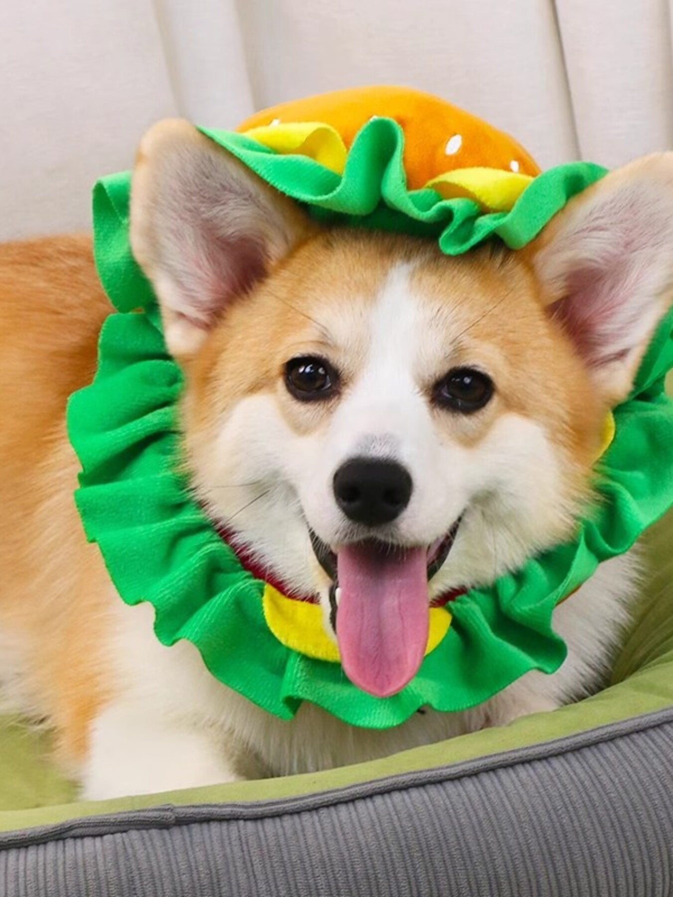 Hamburger Style Pet Headwear