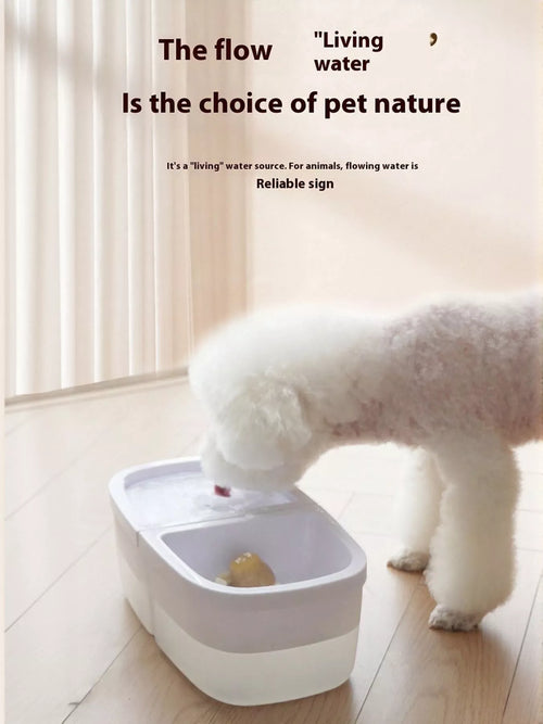 2-in-1 Automatic Water Dispenser & Food Bowl Pet Bowl