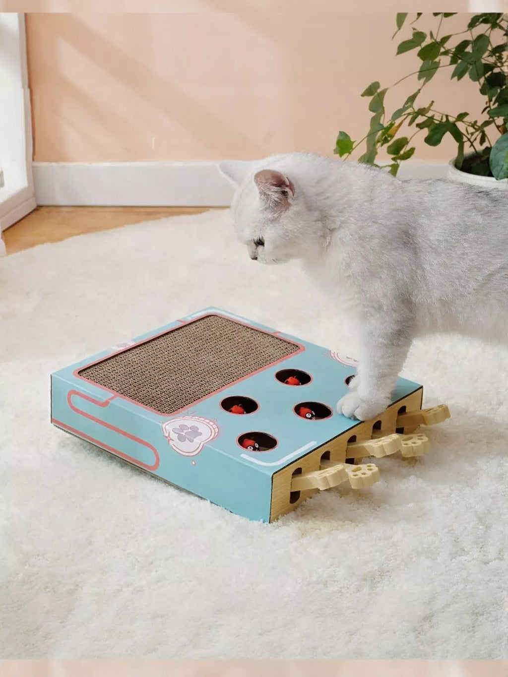 Interactive Whack-A-Mole Cat Toy Box