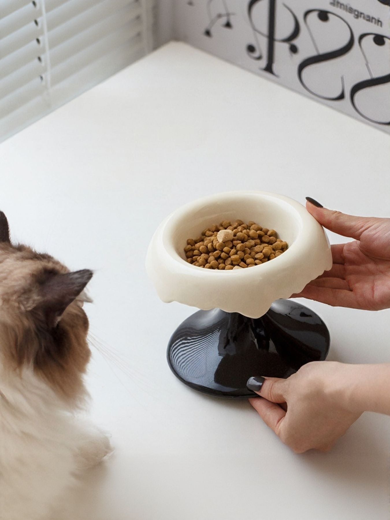 Elevated Ceramic Pet Bowl