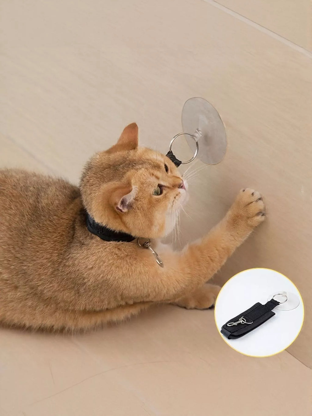Adjustable Breakaway Cat Collar with Suction Cup Leash