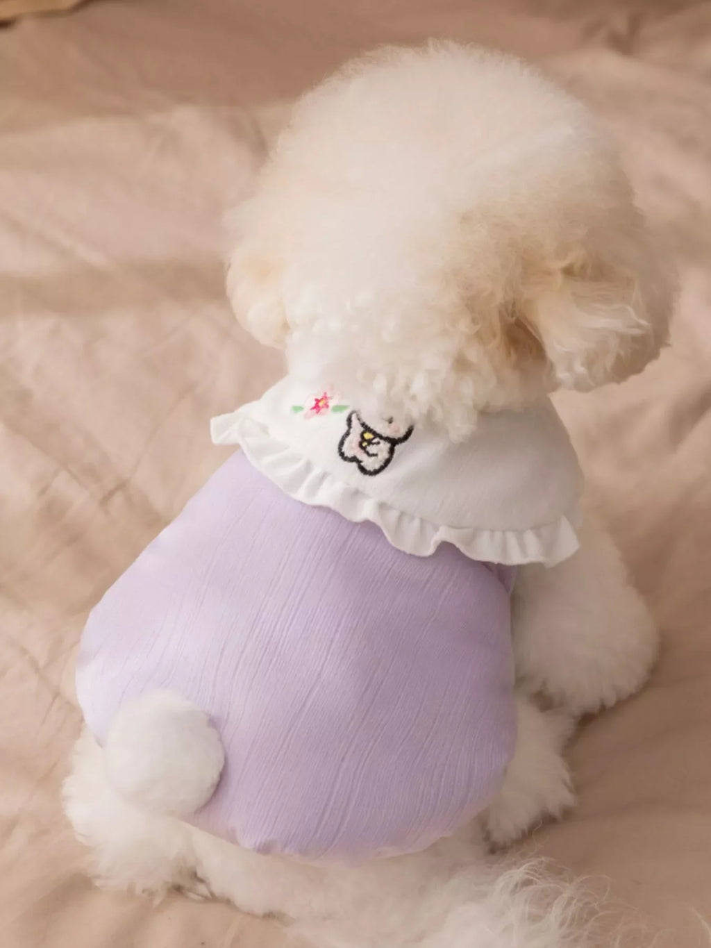 Button-Down Pet Jumpsuit with Ruffle Collar