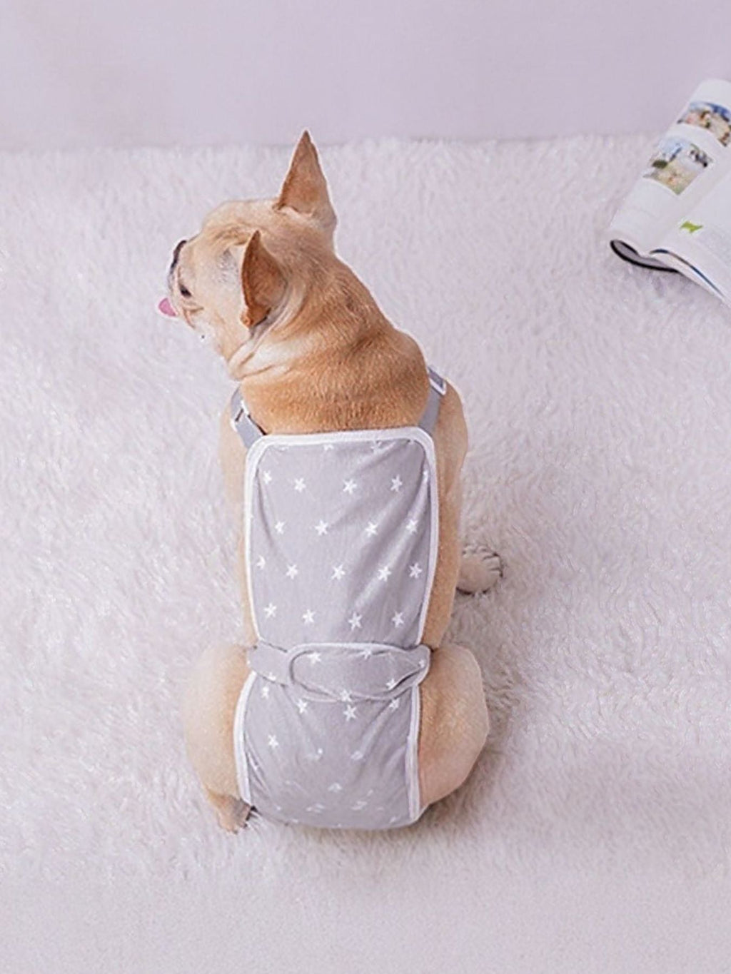 Anti-Harassment Pet Functional Clothing
