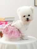 Pearl-Embellished Pet Dress