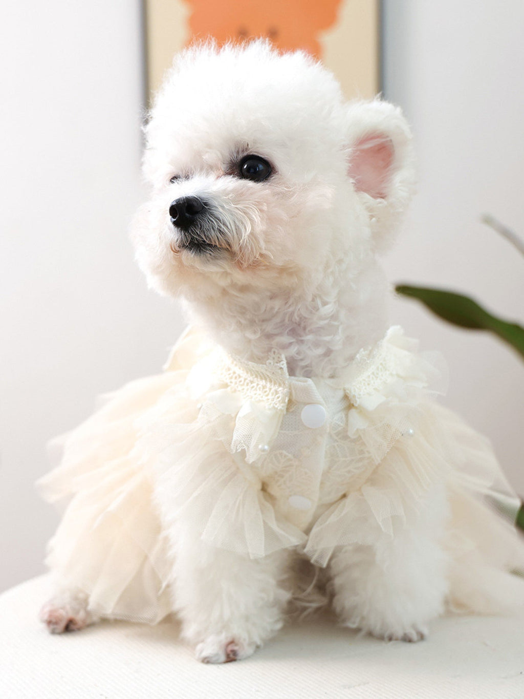 Bow Tulle Ruffle Pet Dress