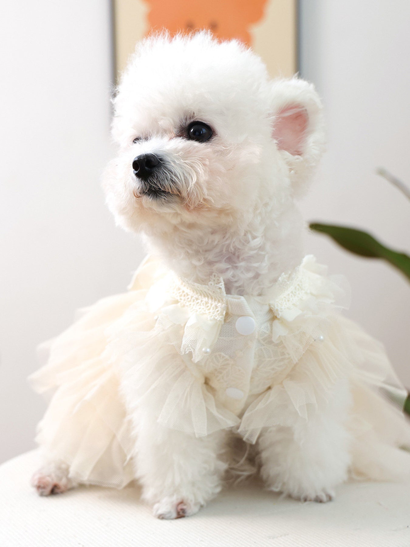 Bow Tulle Ruffle Pet Dress