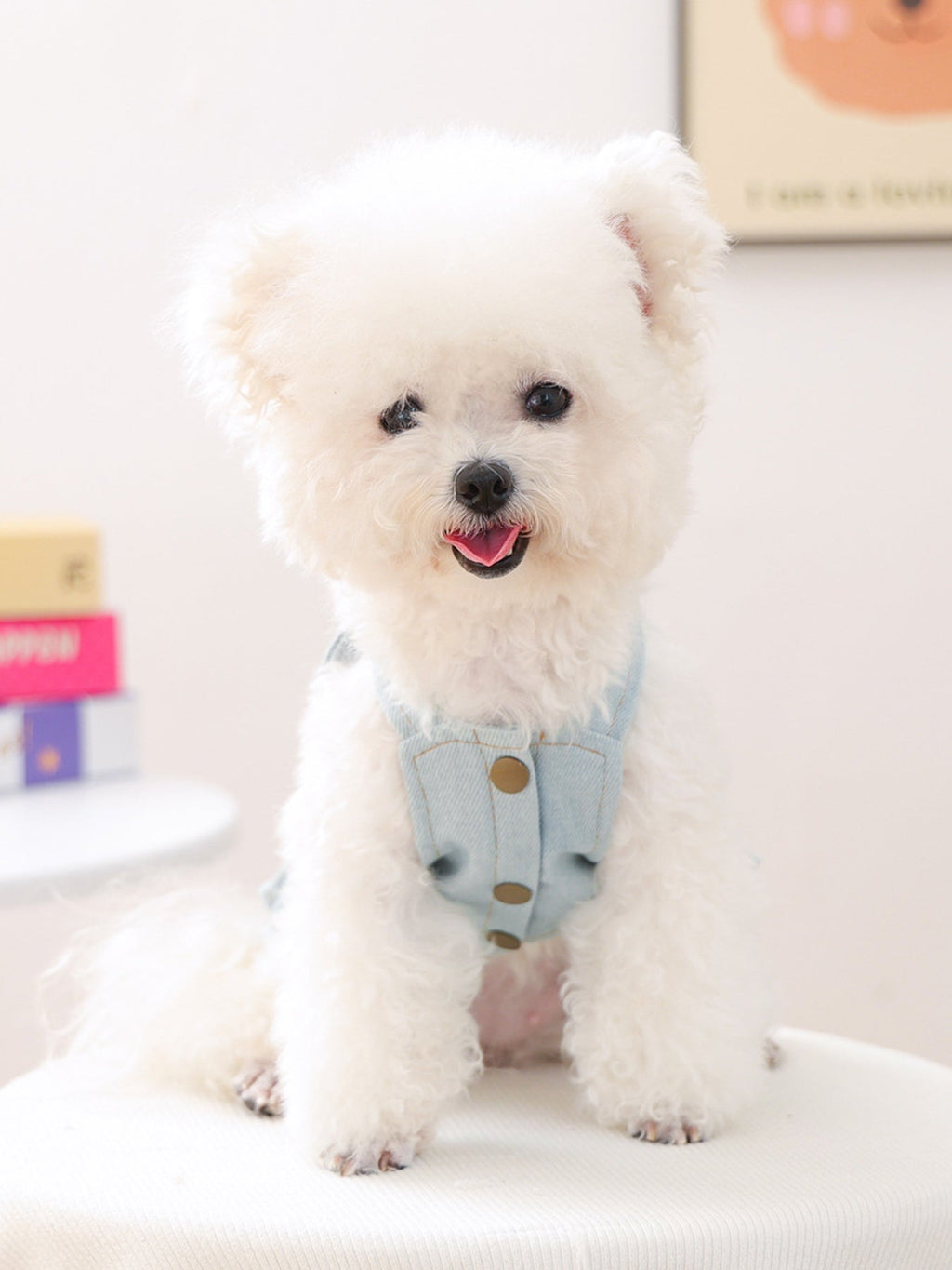 Denim Lace-Up Ruffle Pet Dress